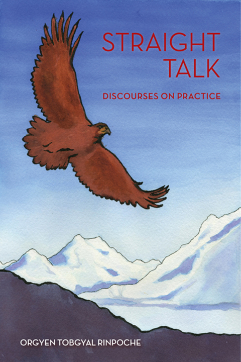 Cover image for book Straight Talk