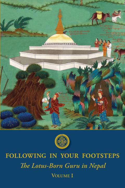 Cover image for book Following in Your Footsteps