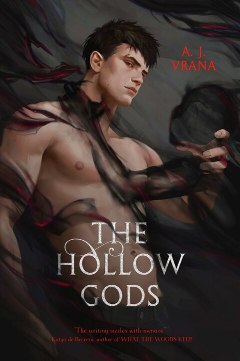 Cover image for book The Hollow Gods
