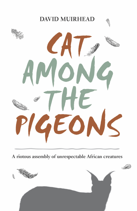 Cover image for book Cat Among the Pigeons