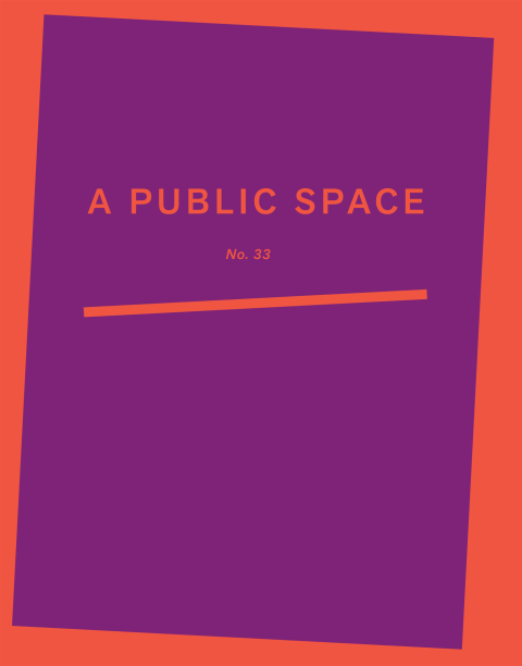 Cover image for book A Public Space No. 33