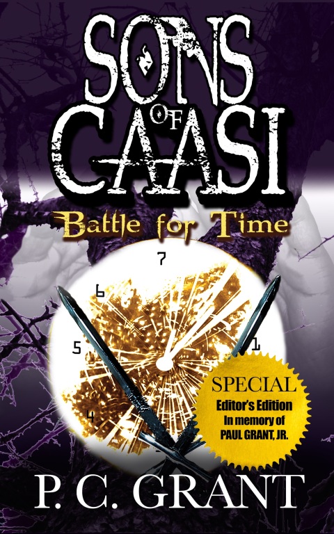 Cover image for book Sons of Caasi