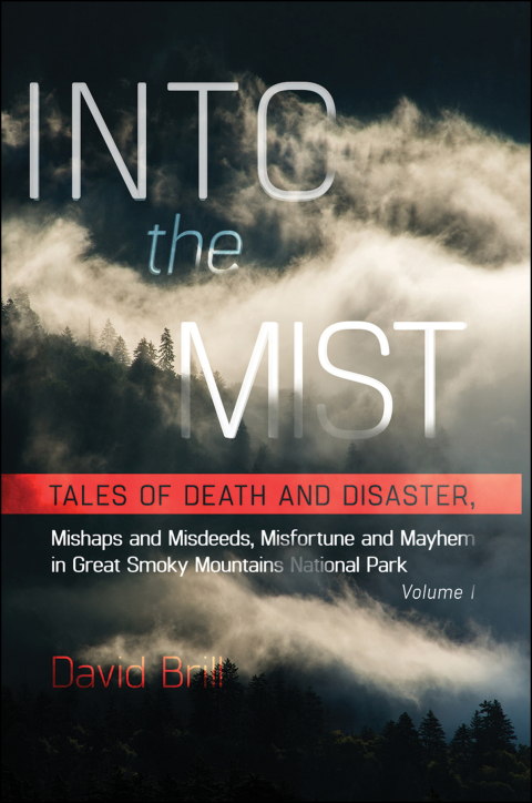 Cover image for book Into the Mist