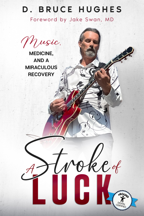 Cover image for book A Stroke of Luck