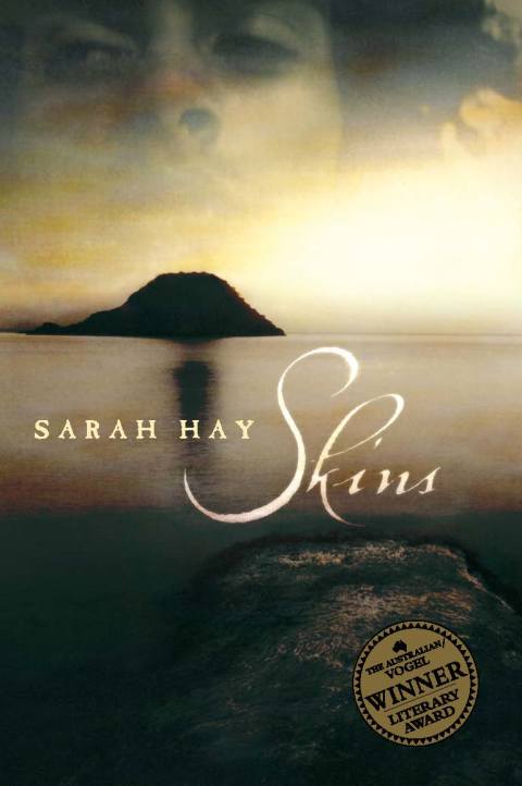 Cover image for book Skins