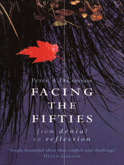 Cover image for book Facing the Fifties