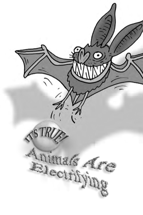 Cover image for book It's True! Animals are electrifying (11)