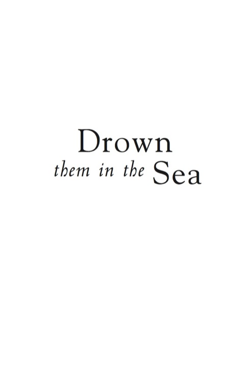 Cover image for book Drown them in the Sea