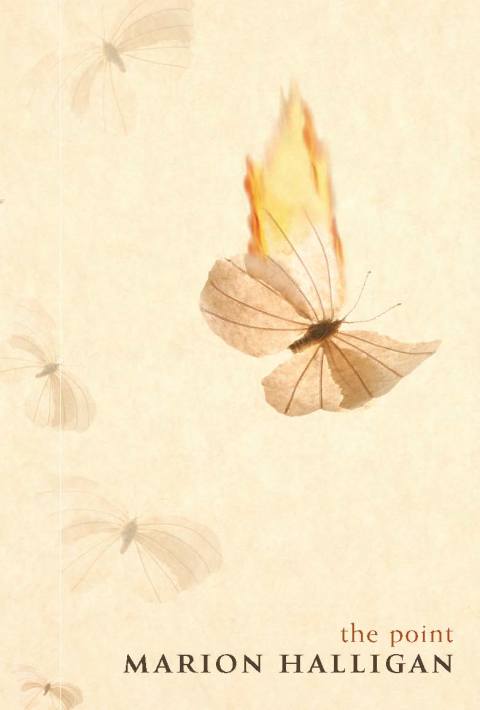 Cover image for book The Point