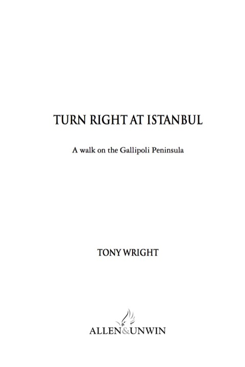 Cover image for book Turn Right at Istanbul