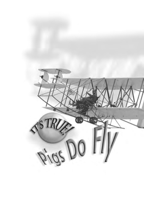 Cover image for book It's True! Pigs Do Fly (5)