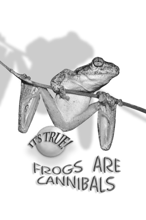 Cover image for book It's True! Frogs are Cannibals (2)