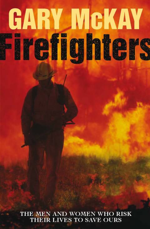 Cover image for book Firefighters