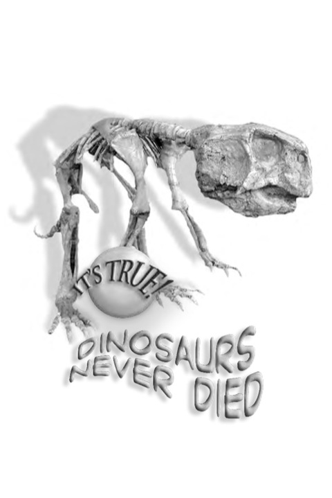 Cover image for book It's True! Dinosaurs never died (10)