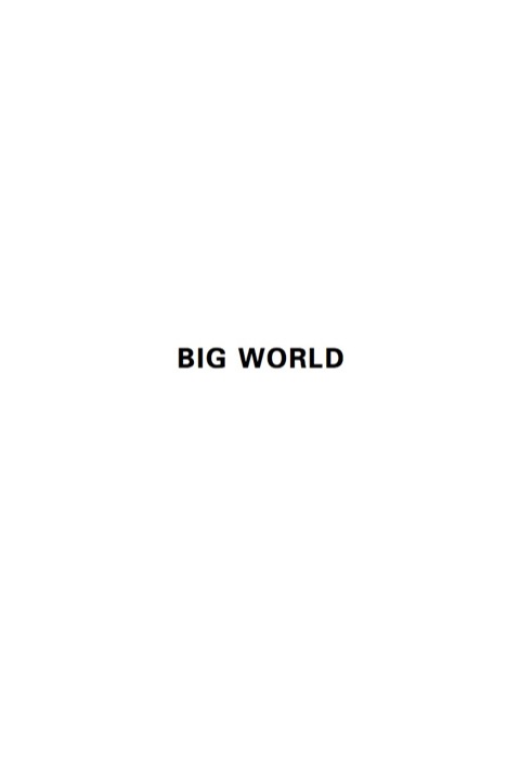 Cover image for book Big World