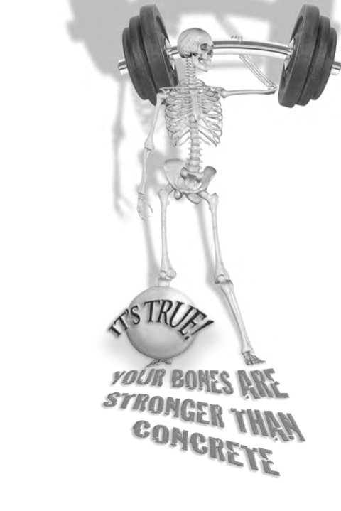 Cover image for book It's True! Your bones are stronger than concrete (26)