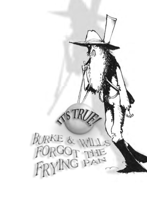 Cover image for book It's True! Burke and Wills forgot the frying pan (12)