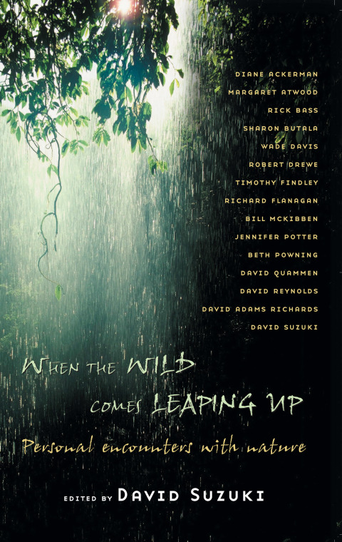 Cover image for book When the Wild Comes Leaping Up
