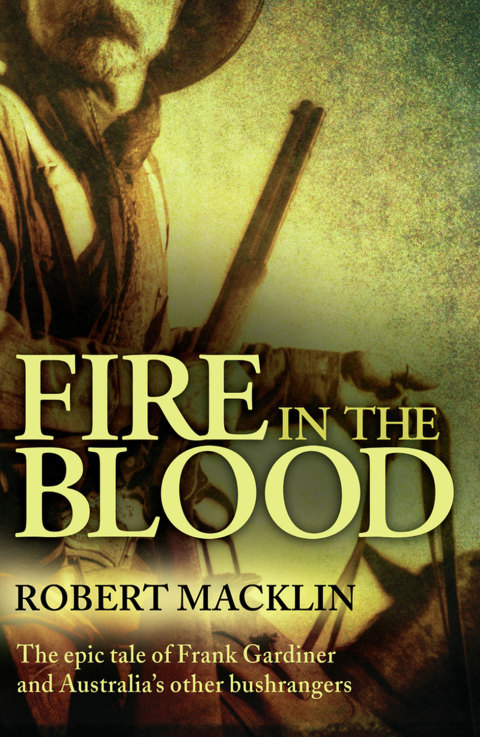 Cover image for book Fire in the Blood