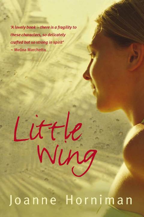 Cover image for book Little Wing