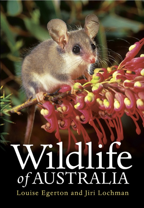Cover image for book Wildlife of Australia