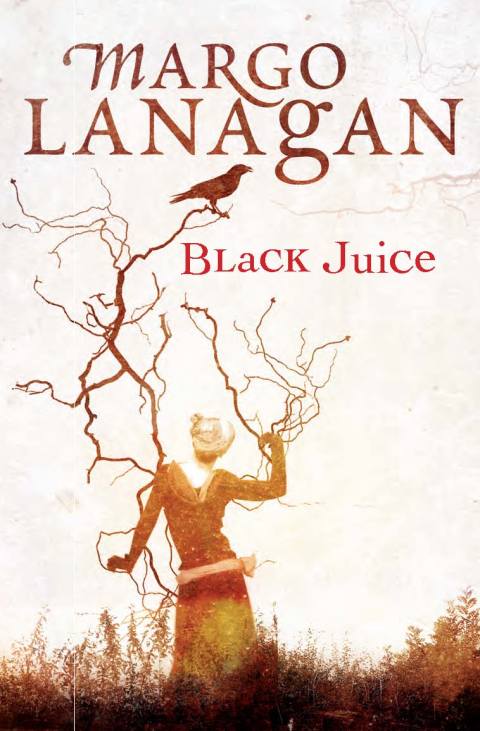 Cover image for book Black Juice