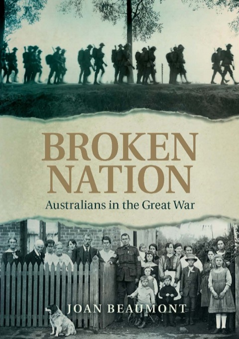 Cover image for book Broken Nation