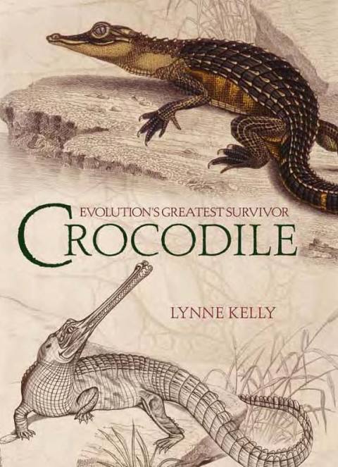 Cover image for book Crocodile