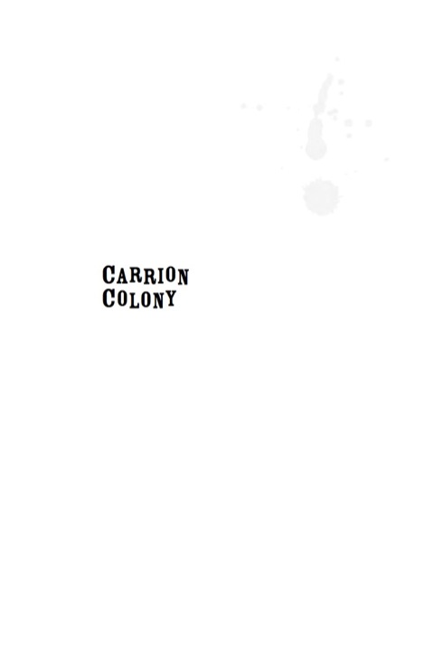 Cover image for book Carrion Colony