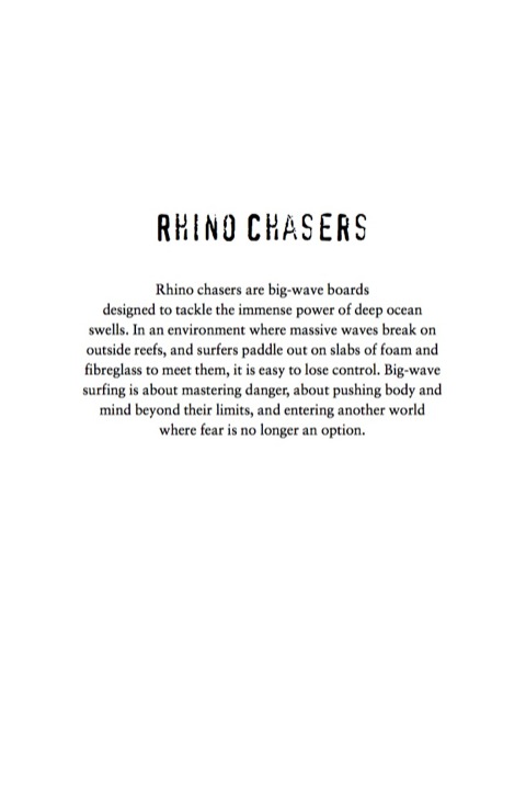 Cover image for book Rhino Chasers