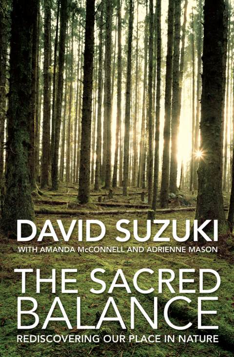 Cover image for book The Sacred Balance
