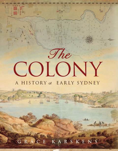 Cover image for book The Colony