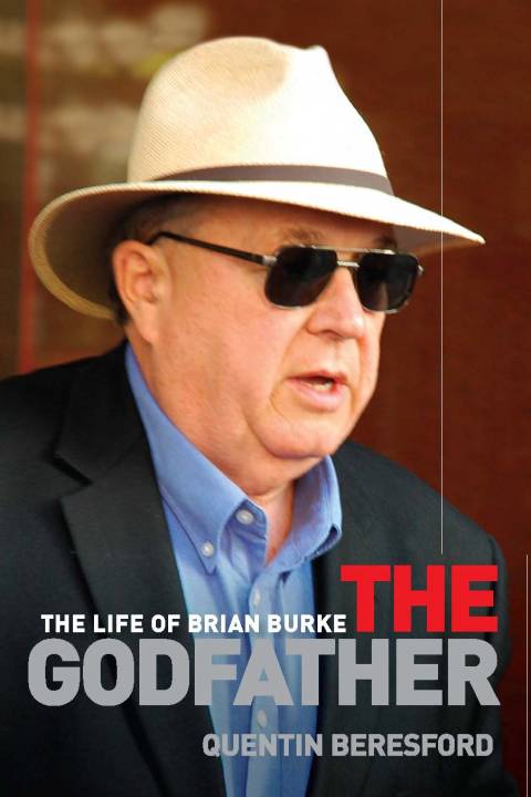 Cover image for book The Godfather