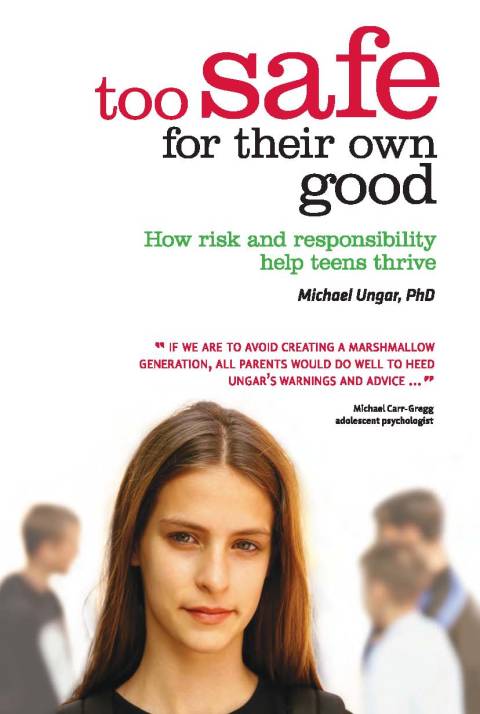 Cover image for book Too Safe For Their Own Good