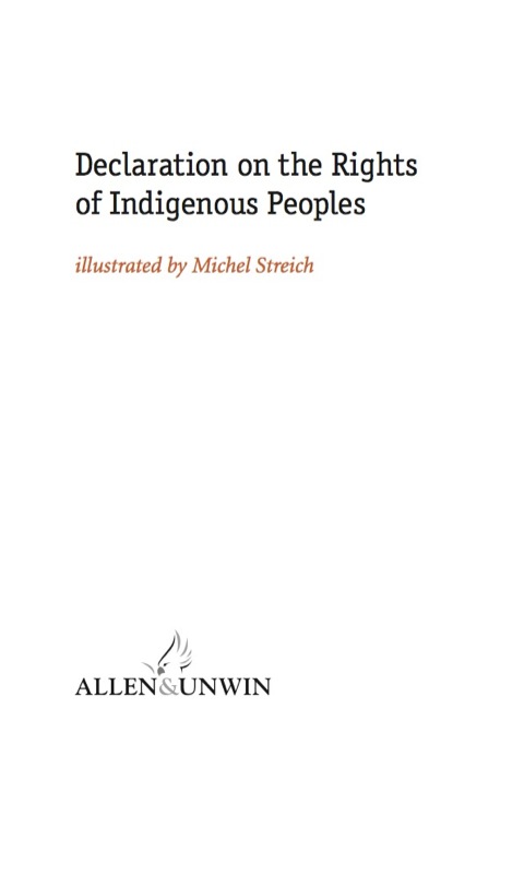 Cover image for book Declaration on the Rights of Indigenous Peoples