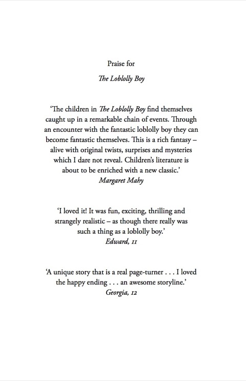 Cover image for book The Loblolly Boy