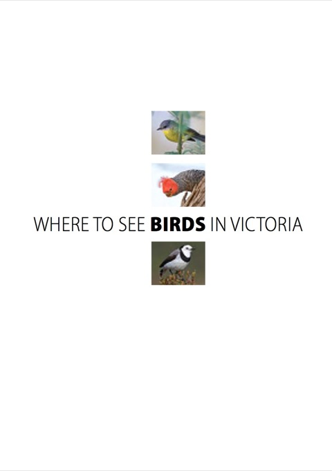 Cover image for book Where to See Birds in Victoria