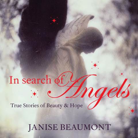 Cover image for book In Search of Angels