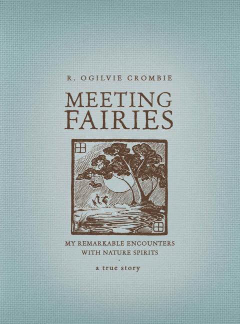 Cover image for book Meeting Fairies