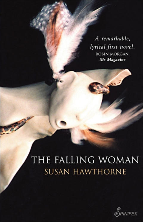 Cover image for book The Falling Woman