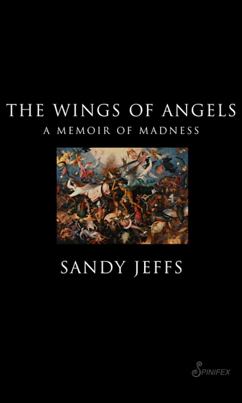 Cover image for book The Wings of Angels