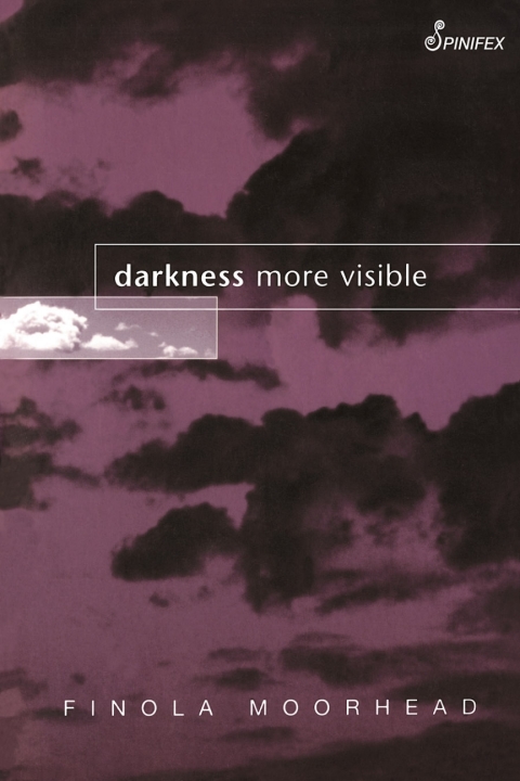 Cover image for book Darkness More Visible