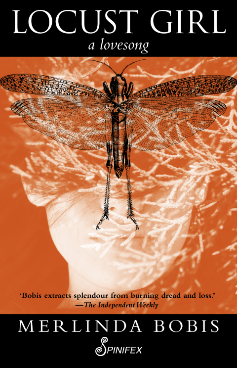 Cover image for book Locust Girl