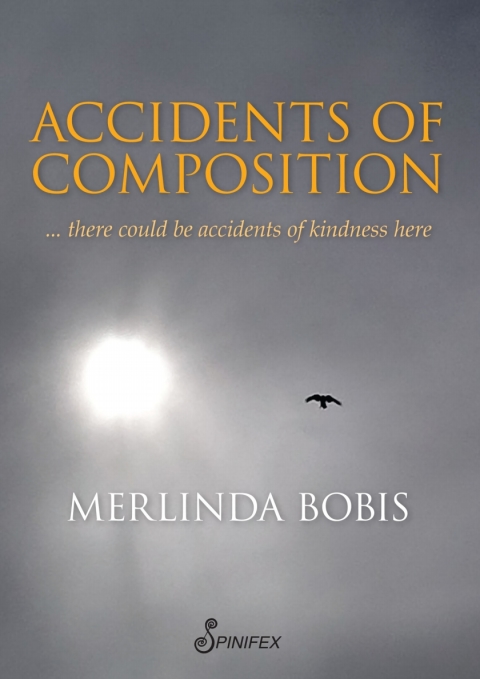 Cover image for book Accidents of Composition