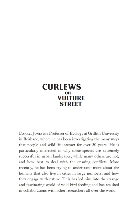 Cover image for book Curlews on Vulture Street