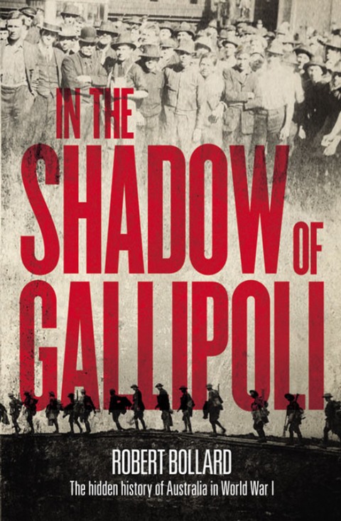 Cover image for book In the Shadow of Gallipoli