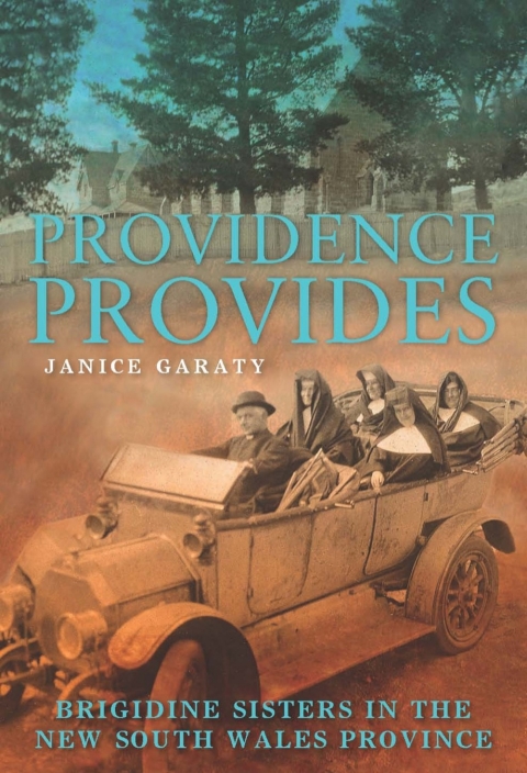 Cover image for book Providence Provides
