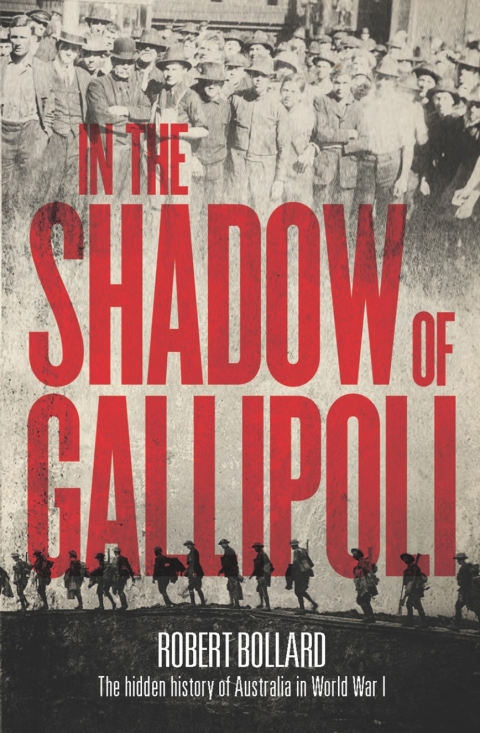 Cover image for book In the Shadow of Gallipoli