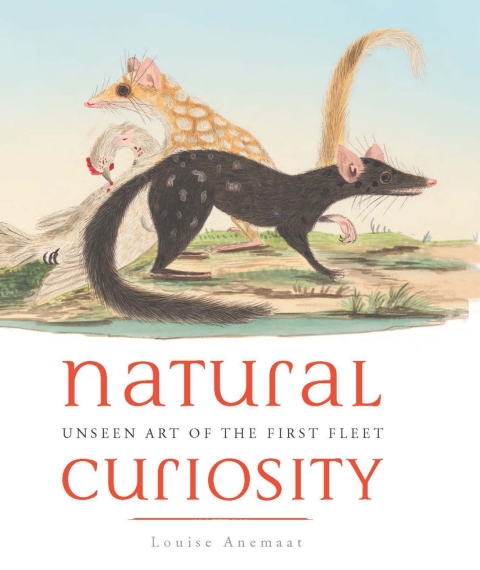 Cover image for book Natural Curiosity