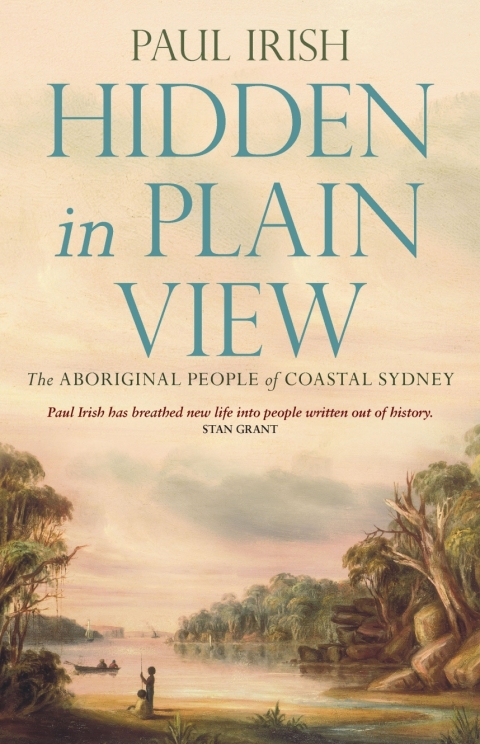 Cover image for book Hidden in Plain View